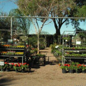 Spring and Summer Bedding Tables