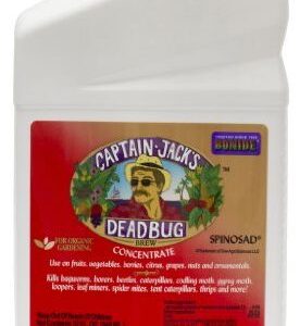 Captain Jacks Dead Bug
