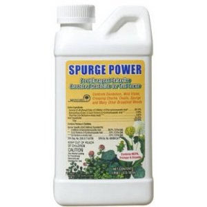 Fertilome Spurge Power