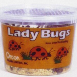 Orcon Lady Bugs
