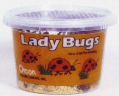 Orcon Lady Bugs