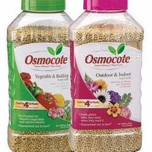 Osmocote Outdoor and Indoor