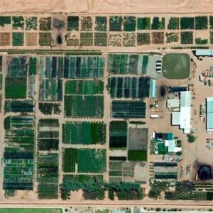 Aerial Photo of Elgin Tree Farm
