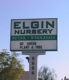 Elgin Nursery and Tree Farm