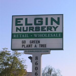 Elgin Nursery and Tree Farm