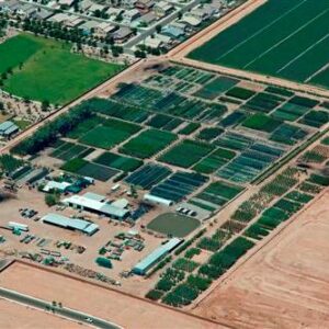 Aerial Photo of Elgin Tree Farm