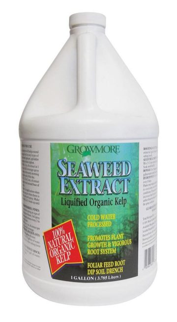 Seaweed Extract Gallon