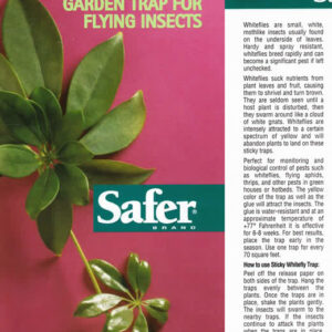 Safer Sticky Whitefly Trap