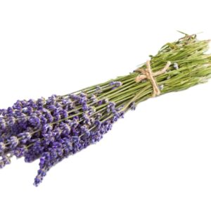 Pleasantly Fragrant Plants