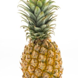 Growing Pineapples in Phoenix