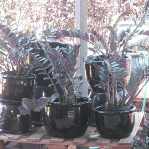 Pottery