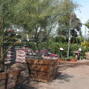 Elgin Nursery East Entrance