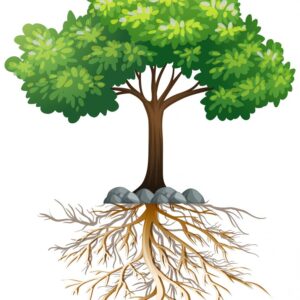 Ideal Irrigation Practices