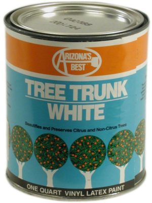 White Tree Trunk Paint